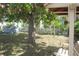 Spacious backyard with mature tree offering shade and a swing, enhancing the outdoor living space at 1146 Alma St, Clearwater, FL 33756