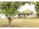Backyard view featuring a shed, mature trees, and the rear of the home with a simple covered porch at 12213 Floral Ln, Thonotosassa, FL 33592