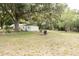 Expansive backyard with mature trees providing shade and features a shed and green grass at 12213 Floral Ln, Thonotosassa, FL 33592