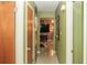 Inviting hallway with wood doors and a peek into the living room with a dog at 12213 Floral Ln, Thonotosassa, FL 33592