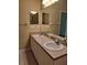 Bathroom featuring dual sinks, spacious countertop, and modern fixtures at 13231 Cherry Bark Cir, Riverview, FL 33579