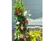 Close-up of a colorful flower arrangement, showing red and white blossoms thriving near a house at 1419 55Th S St, Gulfport, FL 33707