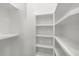Walk-in pantry with multiple shelves for organized storage at 206 S Tampania Ave # 4, Tampa, FL 33609