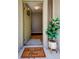 Inviting entryway showcasing a decorative rug, elegant front door, and charming interior details at 2547 Stony Brook Ln, Clearwater, FL 33761
