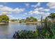 Scenic view of the pond with lush greenery and surrounding trees in the community at 2547 Stony Brook Ln, Clearwater, FL 33761