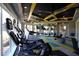 A state-of-the-art fitness center with ceiling fan offering a great place to exercise and stay in shape at 33176 Whisper Pointe Dr, Wesley Chapel, FL 33545