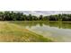 Scenic pond view surrounded by lush greenery, offering a tranquil outdoor space at 33176 Whisper Pointe Dr, Wesley Chapel, FL 33545