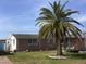 Charming brick home with a well-manicured lawn and a prominent palm tree at 3850 Sablewood Dr, Holiday, FL 34691