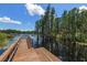Wooden dock overlooking the lake surrounded by lush green trees and a clear blue sky at 6225 Scarlet Darter Way, Tampa, FL 33625