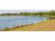 Scenic view of the lake with wildlife along the shoreline at 711 Parker Den Dr, Ruskin, FL 33570