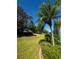 Expansive backyard with lush green grass, mature trees, and tropical palm tree, perfect for outdoor living at 1016 Mcdaniel St, Sun City Center, FL 33573