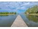 Community dock with scenic views of the lake and surrounding trees at 10614 Low Oak Terrace, Thonotosassa, FL 33592