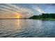 Beautiful lake view at sunset with a tree and small boats at 10614 Low Oak Terrace, Thonotosassa, FL 33592