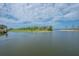 Expansive lake view featuring lily pads and lush greenery at 10614 Low Oak Terrace, Thonotosassa, FL 33592