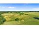 An aerial view shows a large pasture with cattle and perimeter fencing at 10614 Low Oak Terrace, Thonotosassa, FL 33592