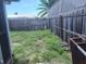 This grassy backyard is bordered by a wooden fence and mature shade trees, offering ample space at 1155 Royalwood Dr, Holiday, FL 34690
