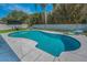Backyard pool with light blue water, an adjacent patio area with furniture, with lush greenery and privacy fence at 1710 Hibiscus N Cir, Oldsmar, FL 34677