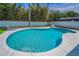 Backyard pool with light blue water, an adjacent patio area, chairs, and lush greenery behind a white fence at 1710 Hibiscus N Cir, Oldsmar, FL 34677