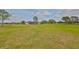 Large grassy backyard, showcasing the extensive outdoor space at 18423 Lithia Towne Rd, Lithia, FL 33547