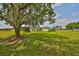 Expansive front yard featuring a mature tree and a single-story residence in the background at 18423 Lithia Towne Rd, Lithia, FL 33547