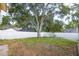 Spacious backyard featuring green grass, a mature shade tree, and a white wooden fence at 1916 Sandstone Pl, Clearwater, FL 33760