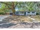 Charming single story home featuring a mature tree, blue accents, and manicured landscaping at 2003 E Clinton St, Tampa, FL 33610