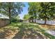 Expansive backyard featuring lush greenery, mature trees, and privacy fencing, perfect for outdoor enjoyment at 2810 N Jefferson St, Tampa, FL 33602