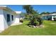 Landscaped backyard with well-maintained lawn and lush green foliage at 3436 100Th N Ave, Pinellas Park, FL 33782