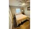 Cozy bedroom features wood-look floors, a ceiling fan, and natural light from the window, creating a relaxing ambiance at 6401 30Th N Way, St Petersburg, FL 33702