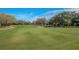 Well-maintained golf course with lush green fairways and mature trees at 1307 Forestedge Blvd, Oldsmar, FL 34677