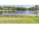 View of the pond behind the property at 1307 Forestedge Blvd, Oldsmar, FL 34677