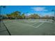 Well-maintained tennis courts with nets, lighting, and surrounding trees at 1307 Forestedge Blvd, Oldsmar, FL 34677