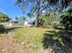 Expansive backyard featuring mature trees, offering a private retreat for outdoor enjoyment and relaxation at 1417 W Curlew Pl, Tarpon Springs, FL 34689