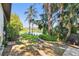 Spacious backyard with lush greenery, palm trees, patio and lake view creating an inviting outdoor oasis at 201 Gornto Lake Rd, Brandon, FL 33510