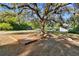 Outdoor wooden deck with shade trees and chandelier, perfect for relaxation at 201 Gornto Lake Rd, Brandon, FL 33510