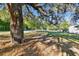 Expansive backyard with mature shade trees, offering a serene and private retreat at 201 Gornto Lake Rd, Brandon, FL 33510
