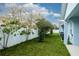 The backyard features a lush lawn with mature trees and shrubs, offering privacy at 2529 Mario Way, Clearwater, FL 33761