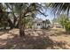 Well-shaded backyard showcasing mature trees and open space at 3230 Queensboro S Ave, St Petersburg, FL 33712