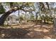 Large backyard featuring mature trees offering substantial shade at 3230 Queensboro S Ave, St Petersburg, FL 33712