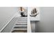 Carpeted stairs with white railing lead to the upper level with artwork on the wall and a doorway below at 4396 5Th Isle Dr, Hernando Beach, FL 34607