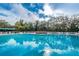 Inviting pool for swimming on a sunny day surrounded by green foliage at 617 Glastonbury Ct, Spring Hill, FL 34609