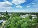 Lush green treetops concealing charming houses in a tranquil residential neighborhood at 771 Murphy N Ave, St Petersburg, FL 33703