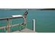 Waterfront living at its finest with a pelican perched on the private pier at 1 Key Capri # 608E, Treasure Island, FL 33706