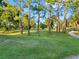 Lush green golf course featuring mature trees, well-manicured fairways, and serene landscaping with an idyllic setting at 10213 Lockwood Pines Ln, Tampa, FL 33635