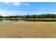 Spacious backyard offering direct access to a picturesque pond, enhancing the property's appeal at 1040 Summer Breeze Dr, Brandon, FL 33511