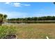 Backyard landscape showcasing the expansive lawn and a beautiful pond view at 1040 Summer Breeze Dr, Brandon, FL 33511