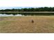 Large backyard with direct access to the peaceful pond, offering a serene outdoor experience at 1040 Summer Breeze Dr, Brandon, FL 33511