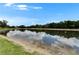 Scenic view of the neighborhood pond reflecting the sky, with trees lining the horizon at 1040 Summer Breeze Dr, Brandon, FL 33511