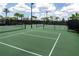 Well-maintained tennis courts surrounded by lush landscaping, providing a scenic and active lifestyle at 10446 Tupper Cay Dr, San Antonio, FL 33576