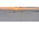 Sunset view over a beautiful sandy beach landscape with ocean waves and a tranquil sky at 1058 Eldorado Ave, Clearwater Beach, FL 33767